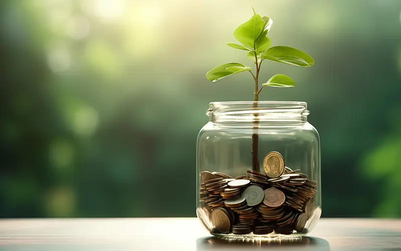 change with growing plant
