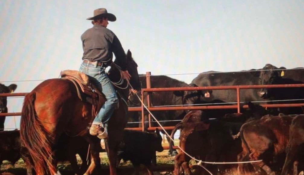 cattle rancher